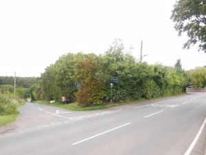 Photo 10- click for photo gallery